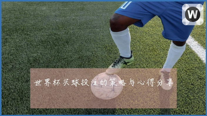 世界杯买球投注的策略与心得分享