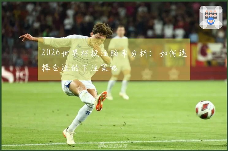 2026世界杯投注赔率分析：如何选择合适的下注策略