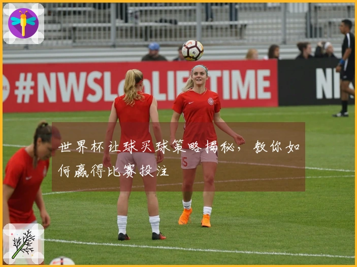 世界杯让球买球策略揭秘，教你如何赢得比赛投注