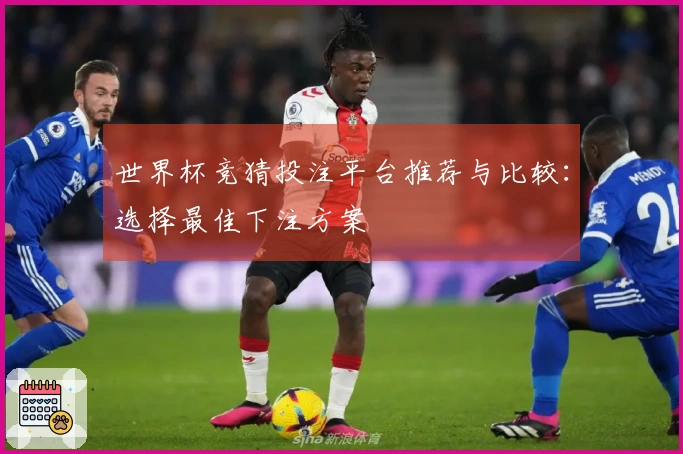 世界杯竞猜投注平台推荐与比较：选择最佳下注方案